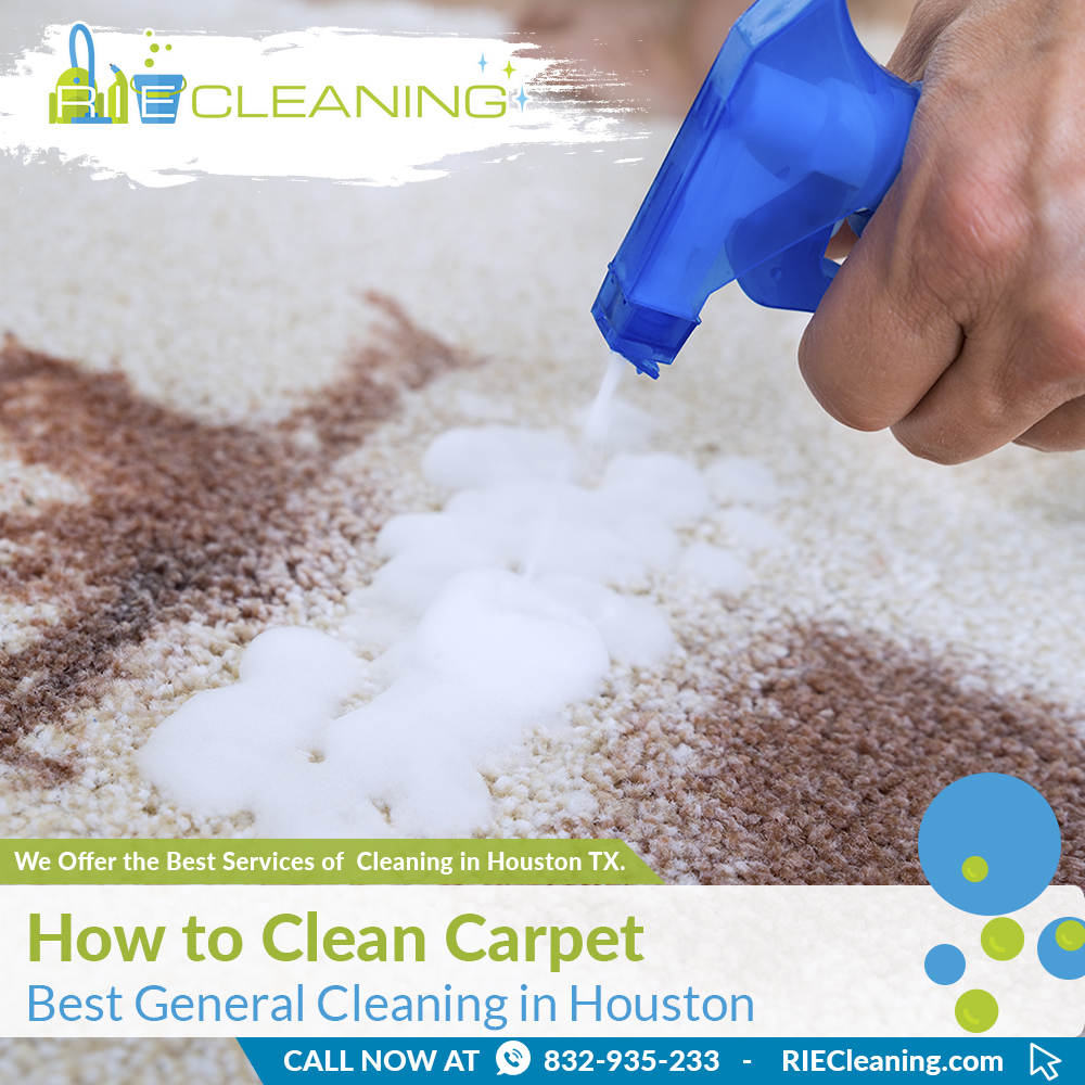 01 Best General Cleaning in Houston