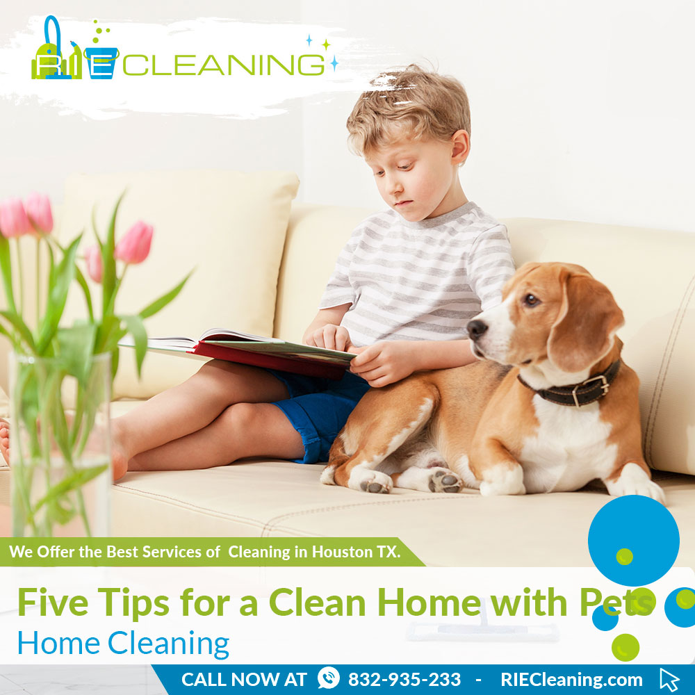 07 Home Cleaning
